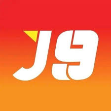 Understanding the Flow of Live Casino Gameplay