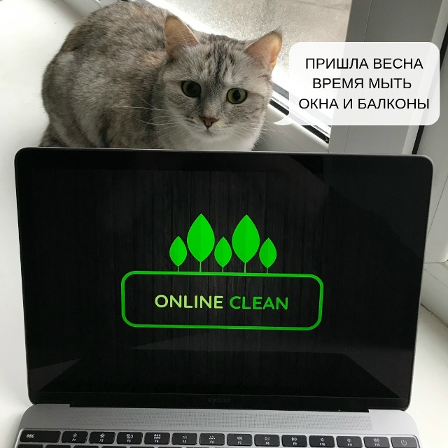 Эффективный клининг как выбрать лучший сервис для уборки